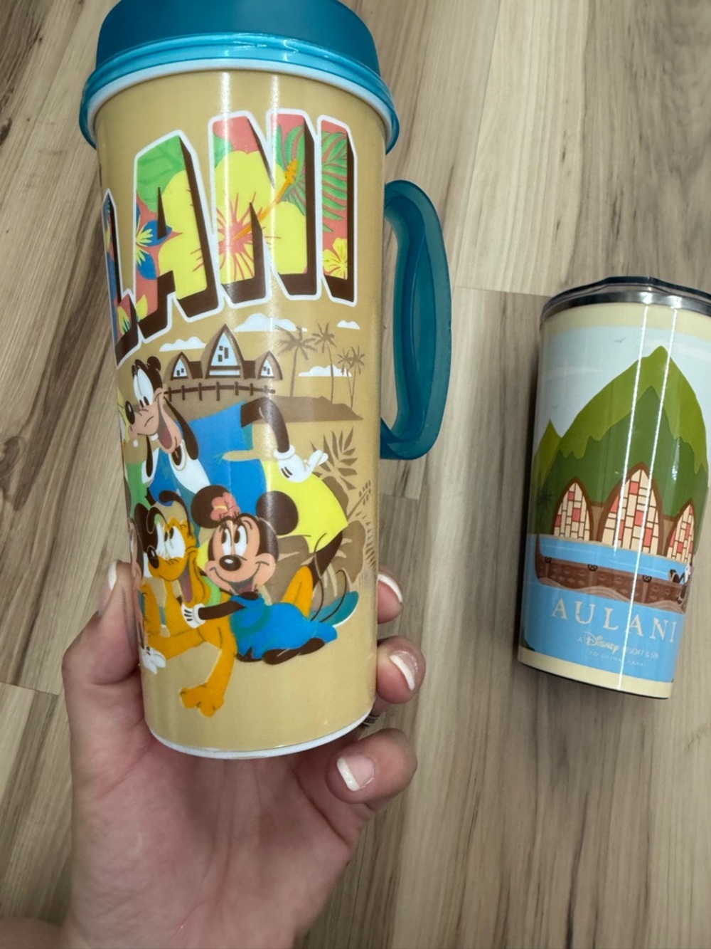 Disney Aulani Resort & Spa Tumbler Lot - Picture 3 of 10